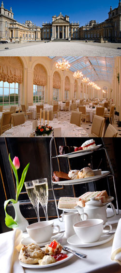 Click image for Blenheim Palace website