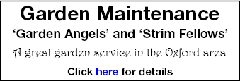 Garden Maintenance - A great garden service for the Oxford area