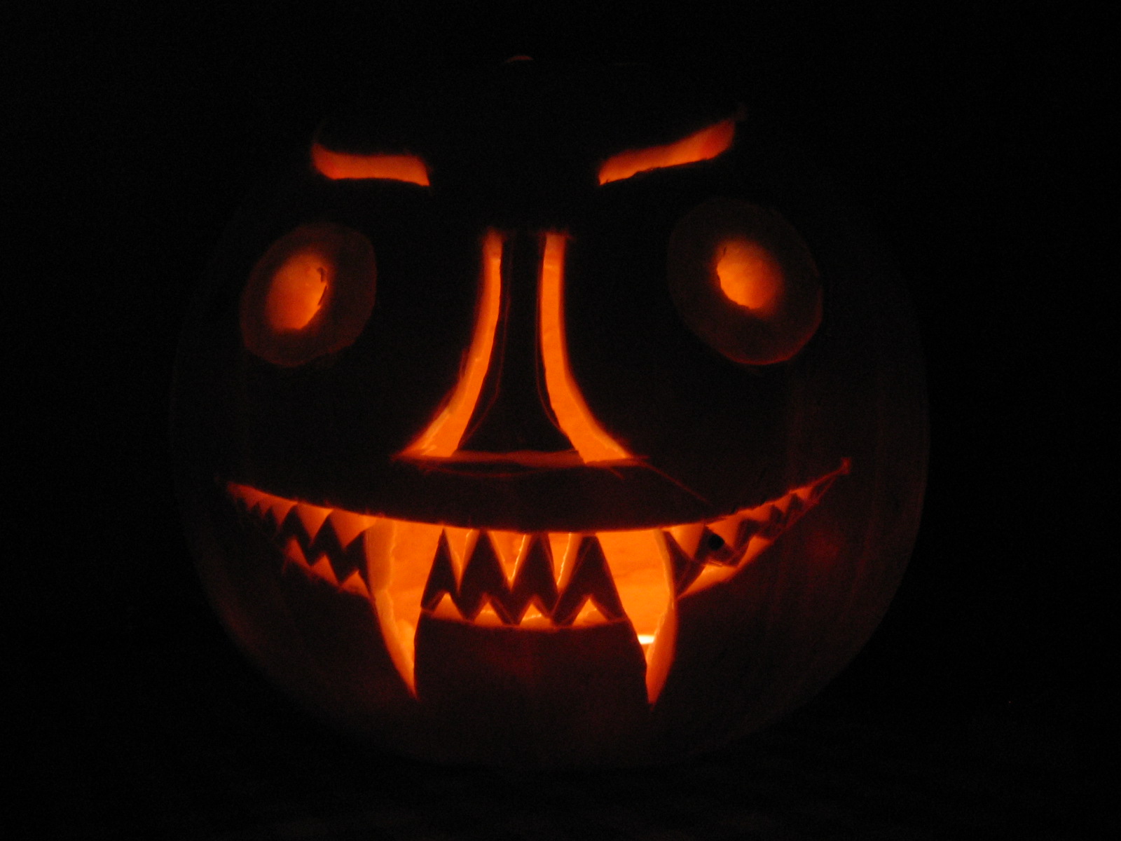 The Daily Info Pumpkin