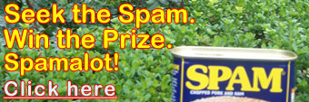 Spam, spam, spam, spam: win free tickets to Spamalot at Oxford's New Theatre!
