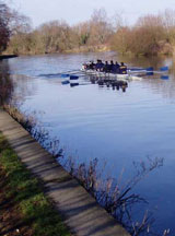 Click to see more Oxford images on our Oxford Scenes page Rowers on the Isis © Anne-Helen Lindeholm