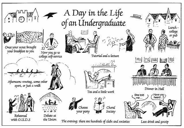 A Day in the Life of an Undergraduate