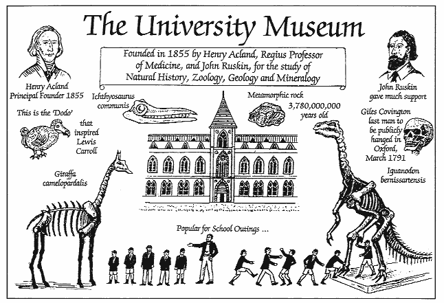 The University Museum