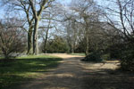 Spring crocuses in Oxford University Parks