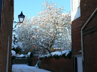 Beaumont Street; photographer Deborah Henderson