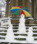 Endangered snowmen; photographer Emma Titcombe