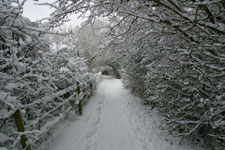 A path near the Ock river; photographer Martin Gulliver