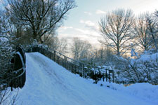 High Bridge in University parks; photographer Ben Walker