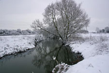 The Ock river; photographer Martin Gulliver
