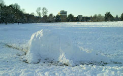 Fearsome snow dragon/pleiosaur in Uni Parks; photographer Tom Merritt
