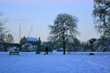 University Parks in the snow; photographer Ben Walker