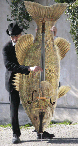 Man playing double bass