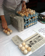 Eadles Farm - very free range eggs