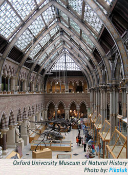 Oxford University Museum Natural History Oumnh Oxford University Museum Natural History Oumnh