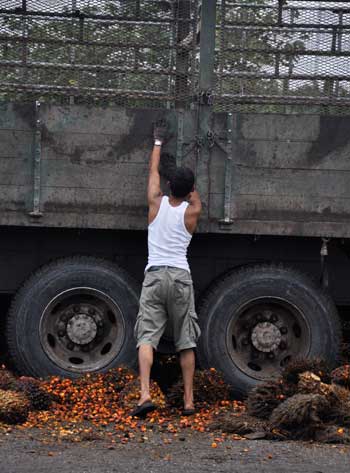 Palm oil processing in Malaysia