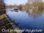 Rowers, � Anne-Helen Lindeholm 2004