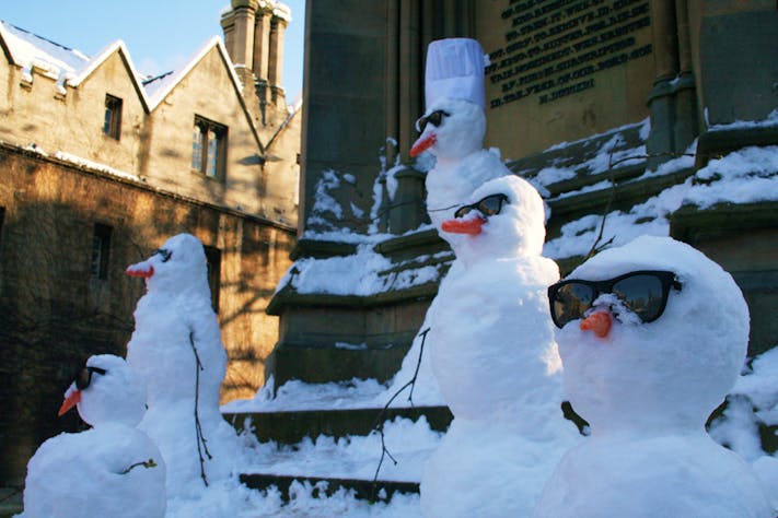 Cool Snowmen by Lee Ingleton