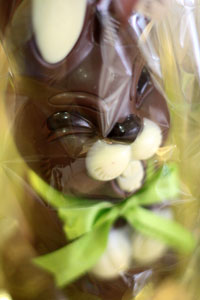 Chocolate Bunny from Coco Noir Oxford