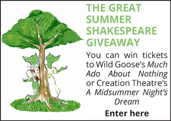 The Great Summer Shakespeare Giveaway 