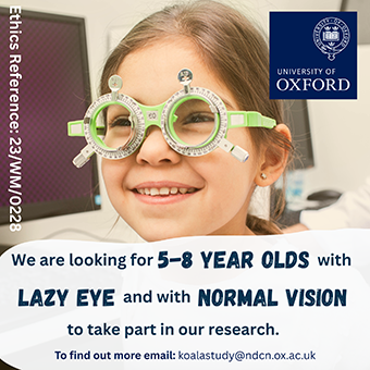 Koala study seeks children age 5 - 8 with lazy eye and regular vision for brain imaging study