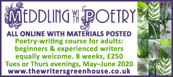 Meddling with Poetry: 8-week poetry-writing course for adults from May 2020