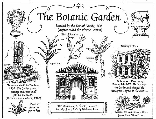 The Botanic Garden