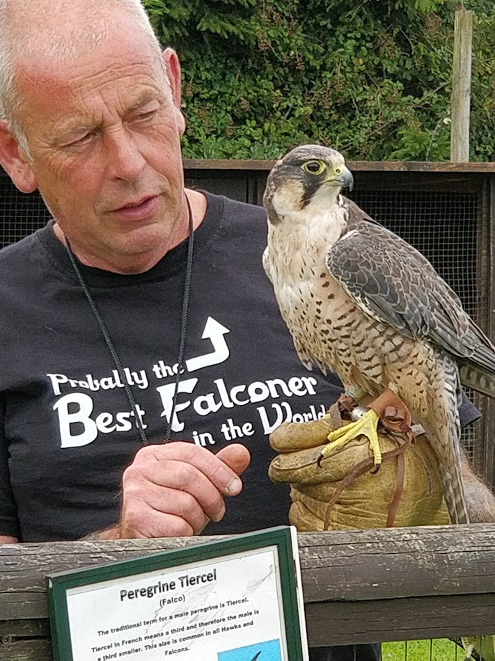 Clive and Peregrine Falcon