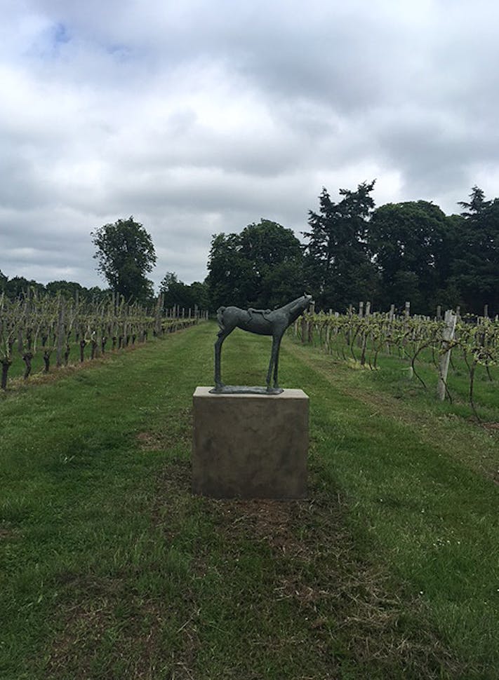 Horse Statue in the Vineyard 