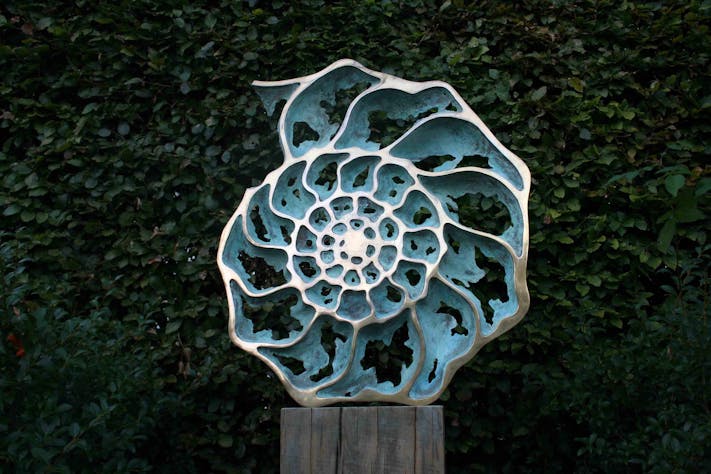 Ammonite 'inside' sculpture by Mark Reed