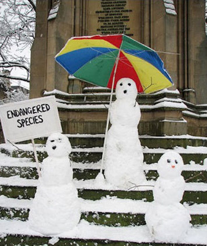 Endangered Snowmen by Emma Titcombe