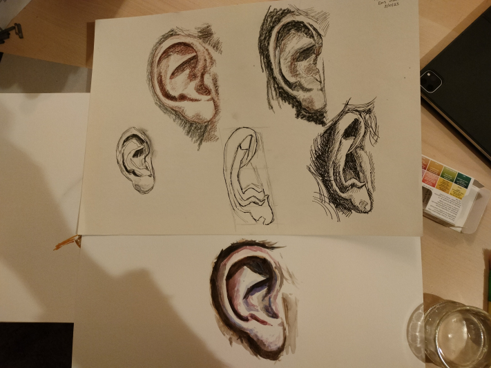 Lots of studies of ears in different media