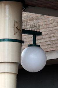 Click to see bigger image!